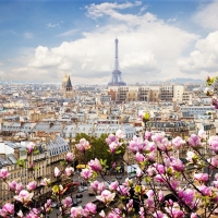 Spring in Paris