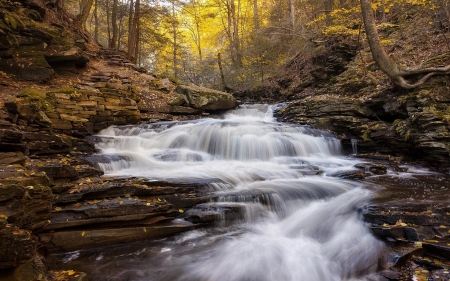 Ricketts Glen State Park, Pennsylvania - usa, river, cascades, trees, forest, stones, rocks