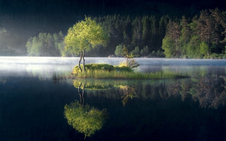 Tree island catching first light in Vagseidet, Norway - reflections, scandinavia, lake, dusk