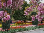 Park in Spring