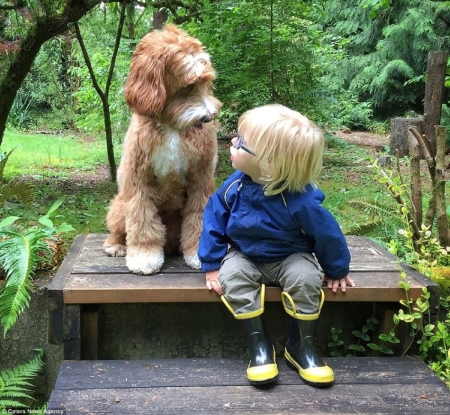 On The Dock - Dog, Child, Glasses, Dock