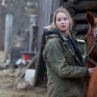 Saddle My Horse