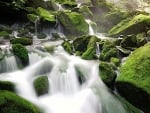 Waterfall in Korea