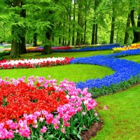 Keukenhof Gardens