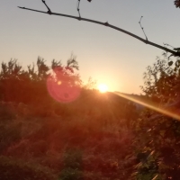 La chronique dâ€™un lever de soleil avorté