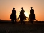 cowboy sunset