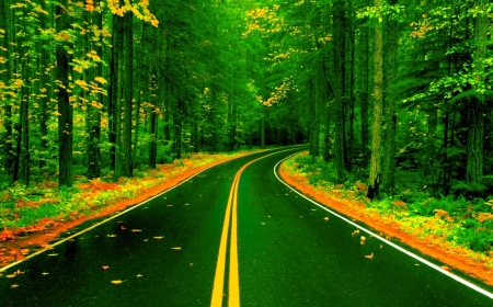 spring green - road, scenic, trees, green