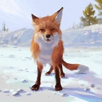Fox