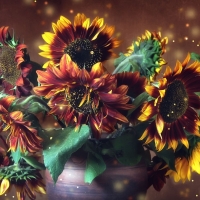 Sunflowers