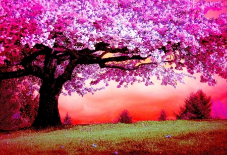 Pink Tree - art, blossoms, digital, landscape