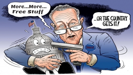 Sad Leader - politics, schumer, senator, america