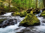 Panther Creek Falls, Washington