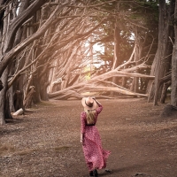 Cowgirl in the Forest