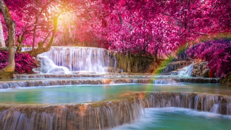 Waterfall in Laos - river, trees, blossoms, cascade, landscape, colors