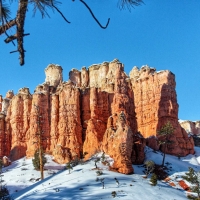 Bryce Canyon National Park