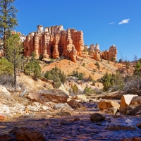 Hoodoos looming over Tropic Ditch, Bryce Canyon National Park