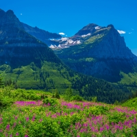 Glacier NP