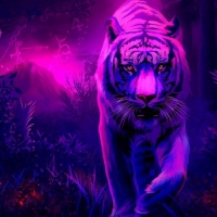 Purple Tiger