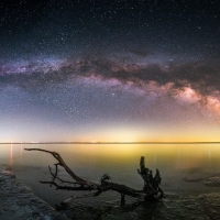 Milky Way over some driftwood, Prince Edward County, Ontario