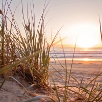 Sand - sea  -  sunset