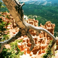 Bryce Canyon, Utah