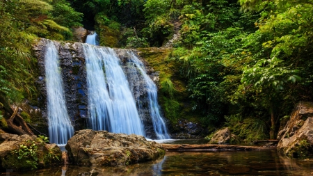 Ryde Falls, New Zealand - cascades, forest, river, rocks, stones, trees