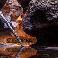 Most amazing light in Zion NP in this cave