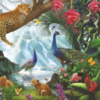 Peacocks and leopards by Steve Crisp