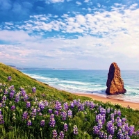 Pyramid Rock at Cape Blanco State Park, Oregon