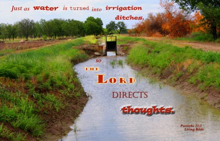 God Directs Thoughts - canal, gate, bushes, irrigation, grass, Bible, water