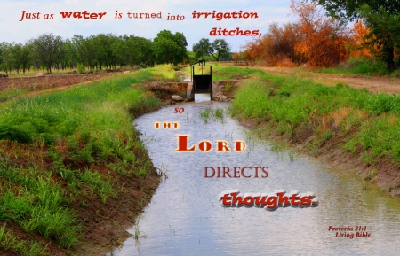 God Directs Thoughts - gate, water, Bible, bushes, canal, grass, irrigation