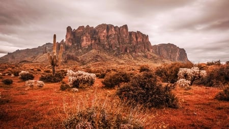 Superstition Mountains, Arizona - usa, clouds, desert, landscape, cactus, rocks, sky