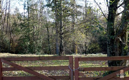 Chained - gate, forest, washington, widescreen, fields, trees, autumn