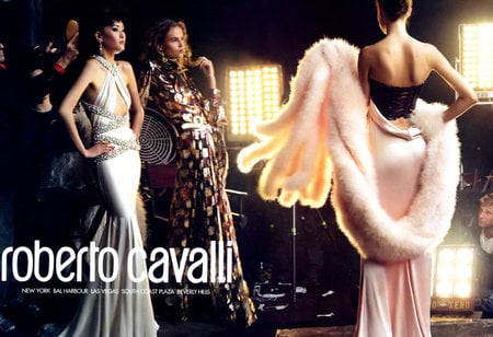 Roberto Cavalli FW2005 - fashion, ad campaign, art, roberto cavalli