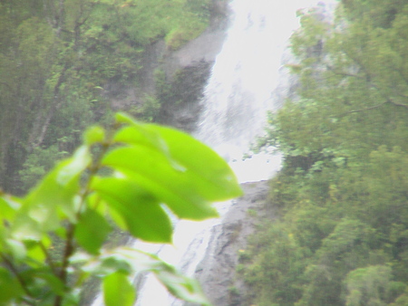 Waterfall  - green, waterfall, flower