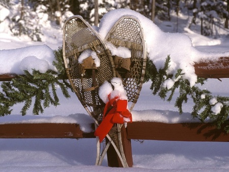 Christmas Time - snow, snow shose, mail box, tree