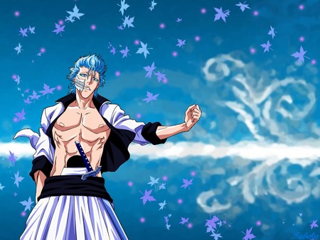 Grimmjow Jaggerjack - bleach, renji, chad, bankai, soul reaper, ichigo, kon, hollow