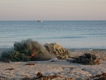 Djerba beach