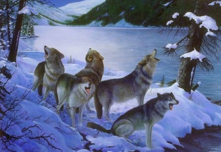 Wolf Pack - snow, night, winter, wolves