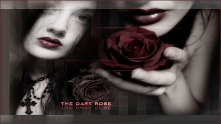 The Dark Rose - feminine, rose, black, beauty, gothic, dark