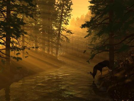 forest light - beautiful tree, beautiful, syberia, scenerie, tree, beautiful forest