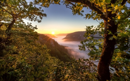 Misty Valley at Sunrise - trees, mist, sunrise, mountains, valley