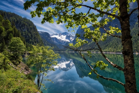 Alpine Lake in Austria - calm, trees, Alps, lake, Austria, mountains, reflection, maple