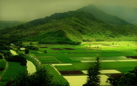 Green Hills & Fields - aerial, fields, photography, hils, HD, beauty, agriculture, nature, green, mist, mountains