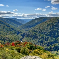 Lindy Point - Blackwater Falls State Park - Thomas, West Virginia