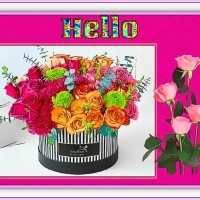 HELLO