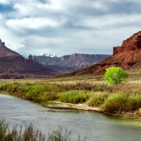 A spring morning chasing the Colorado River down to Moab, Utah