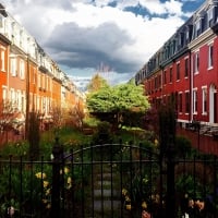 Philly Houses