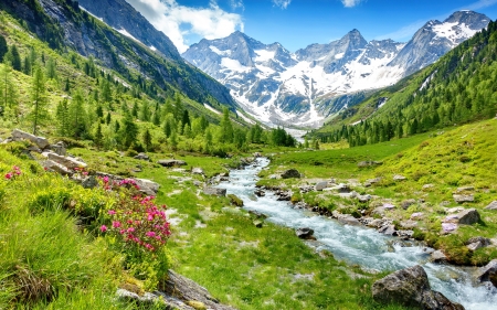 Zillertal valley in spring - hills, Alps, Tyrol, creek, stream, grass, spring, mountain, brook, view, greenery, beautiful, Austria, valley, wildflowers, glacier, rocks