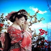 Japan woman among the flowers